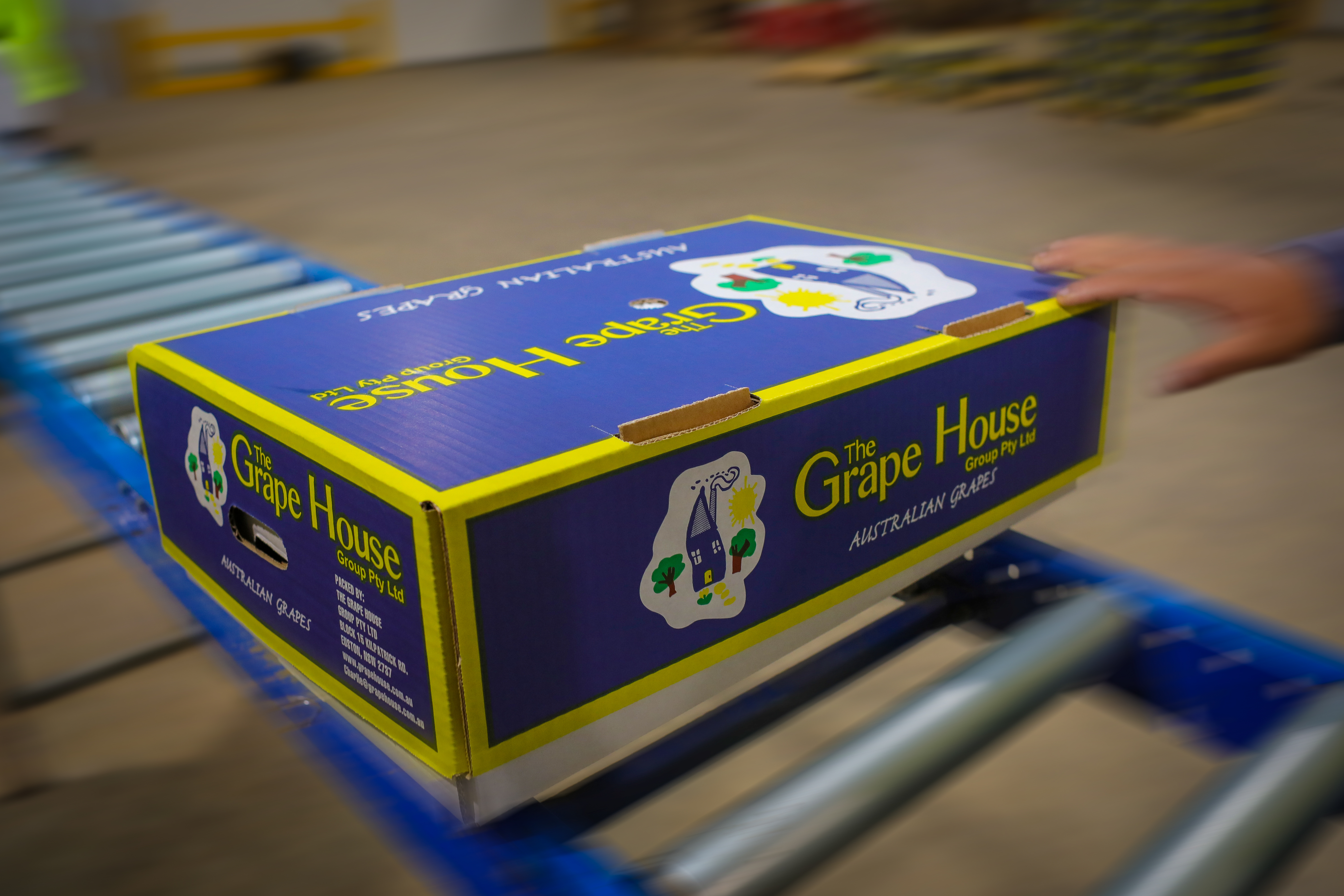 Contact Us - Grape House Presentation