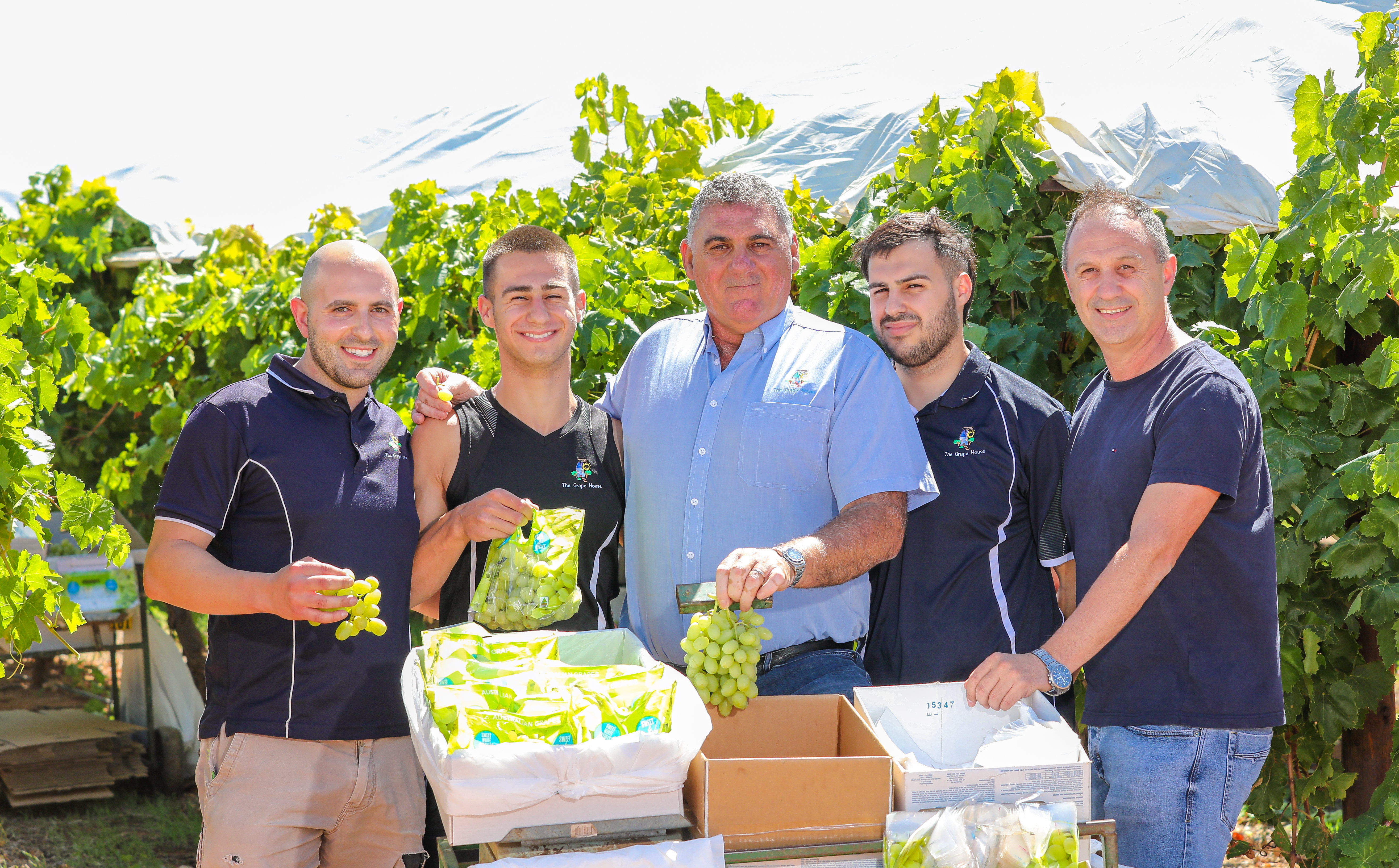 Our Story - Grape House Presentation