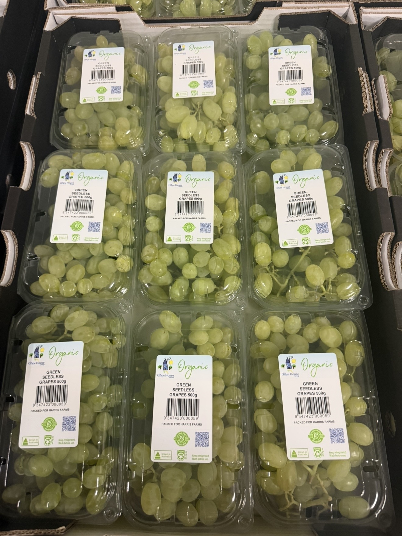 500 g Punnets Packaging