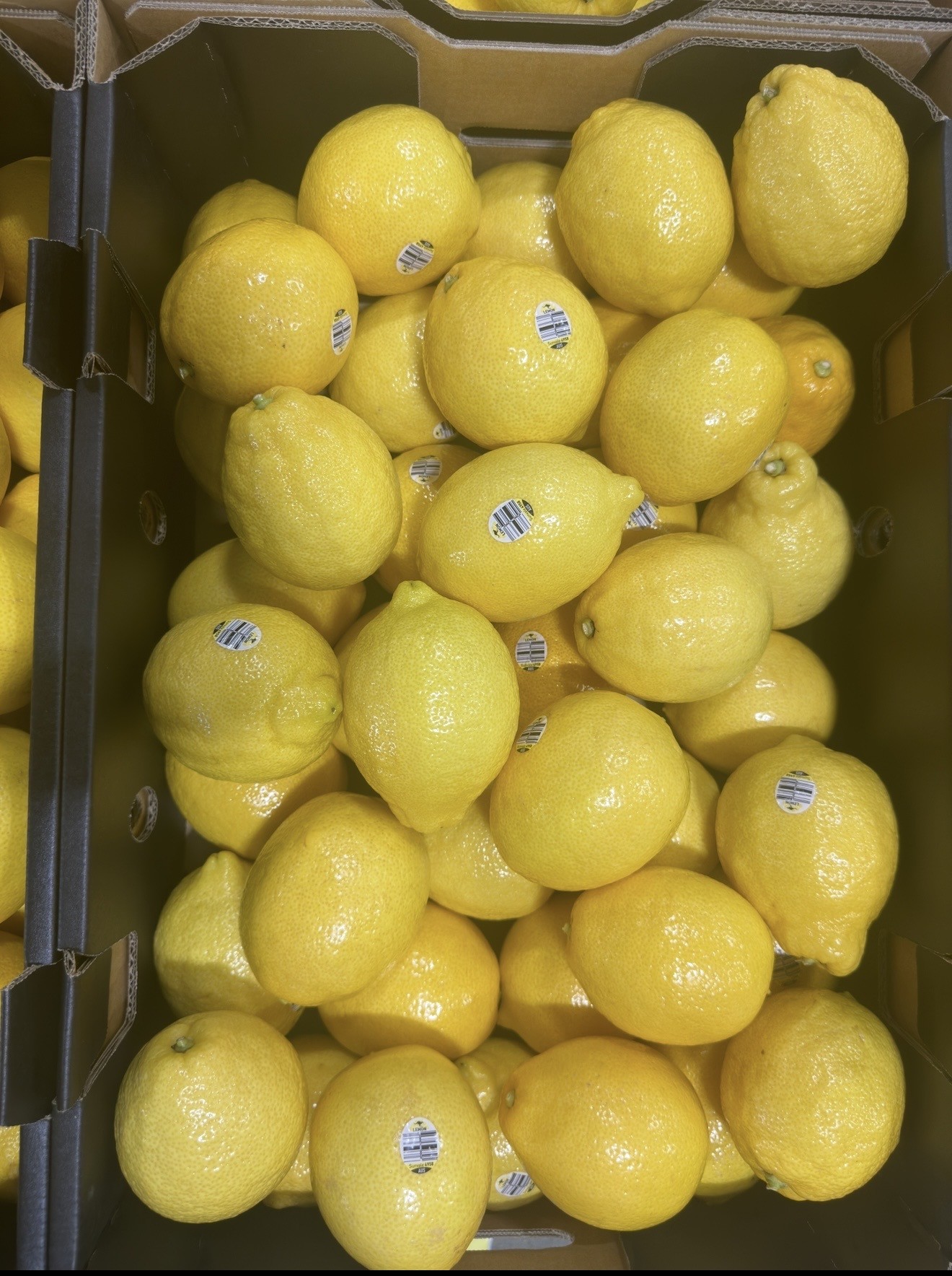 Eureka Lemons Display