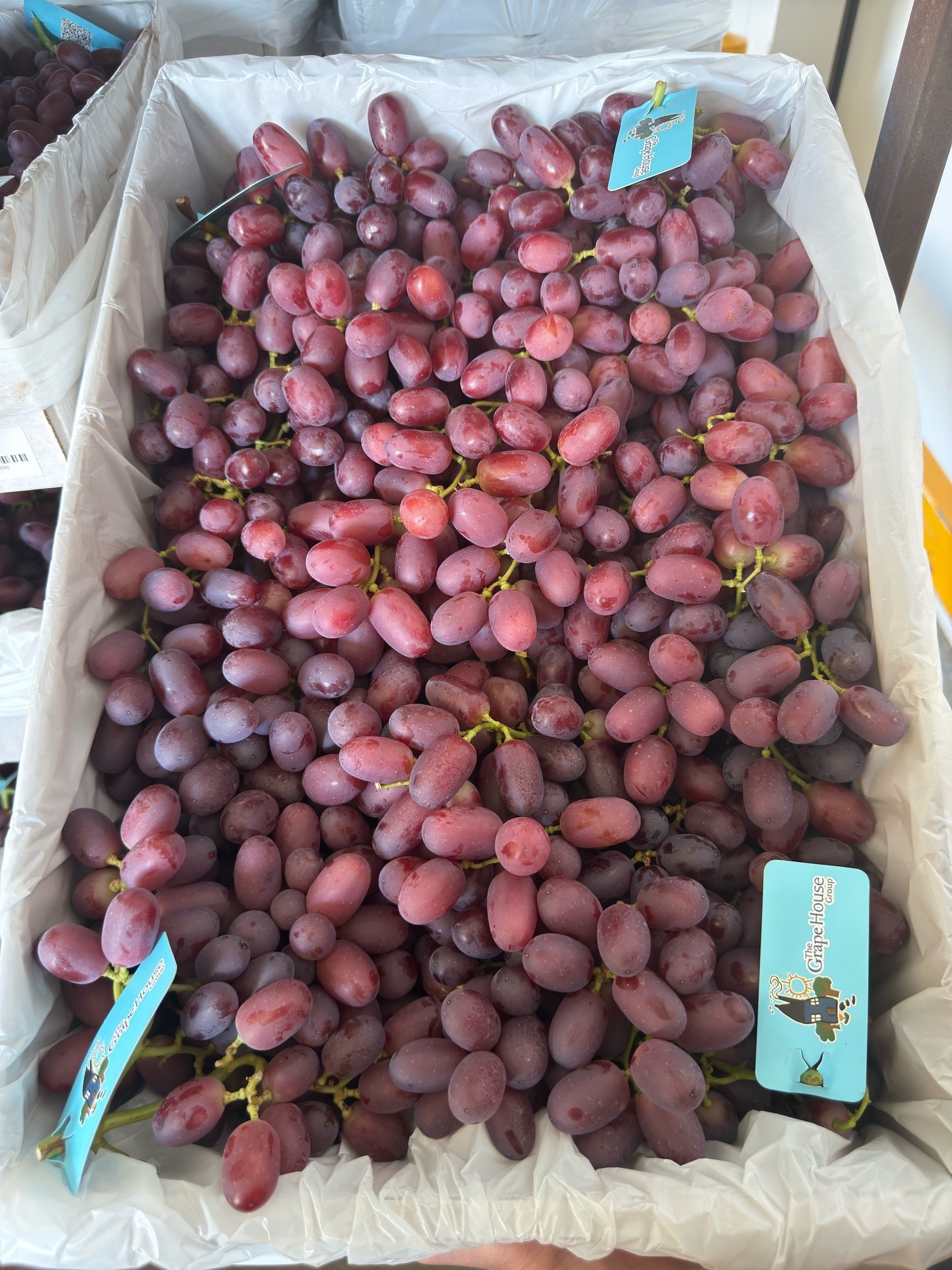 Crimson Seedless