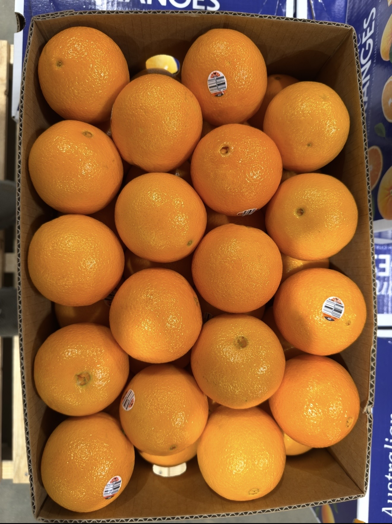 Fresh Orange Navels